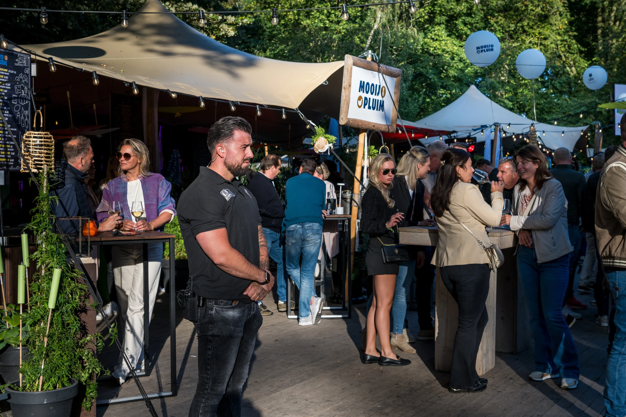 Beveiliging op festivals